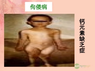 2012秋开学九年级化学《元素》精品课件-北京课改版