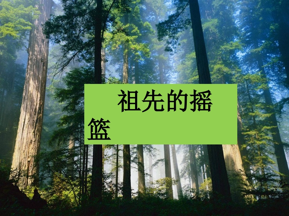 《祖先的摇篮》课件1_第1页
