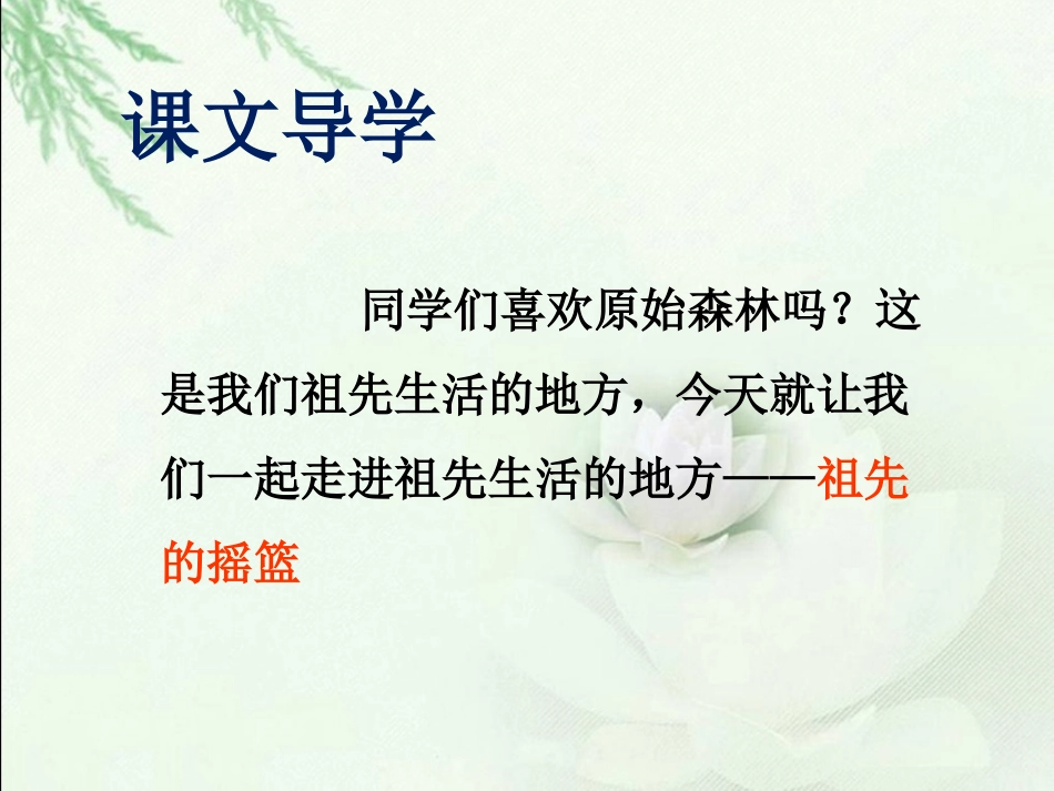 《祖先的摇篮》课件1_第2页