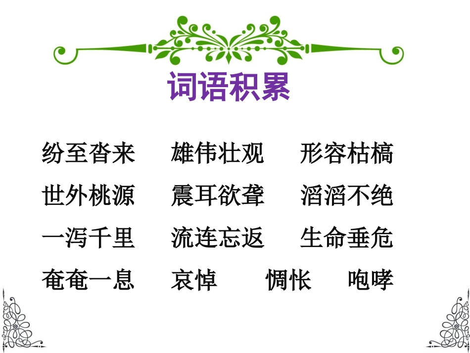 《大瀑布的葬礼》课件1-1_第2页