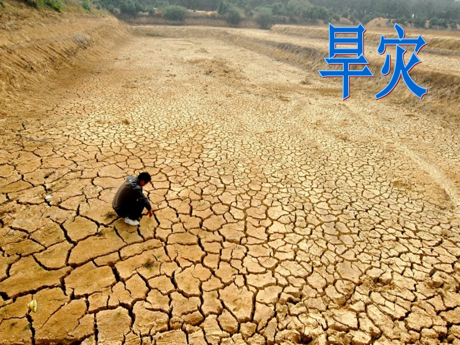 3.面对自然灾害_第2页