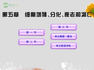 高中生物课时讲练通配套课件-5《细胞增殖、分化、衰老和凋亡》-苏教版必修1