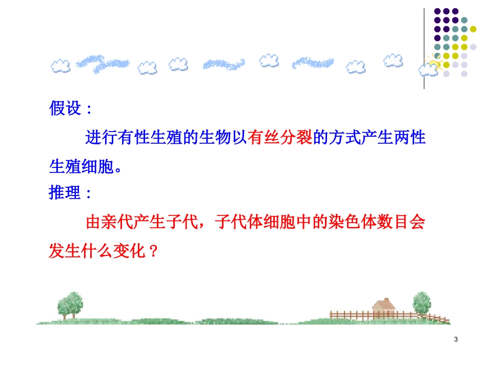2.1减数分裂和受精作用_第3页