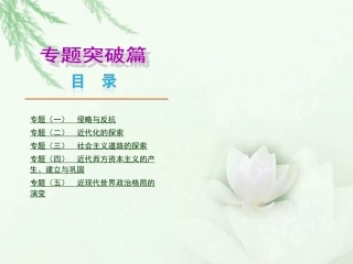 (河北专用)2013届中考历史复习方案-专题突破篇新课标课件-新人教版