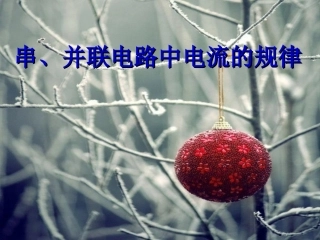 串、并联电路中电压的规律2