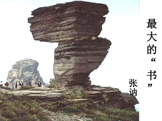 语文下册《最大的“书”》PPT课件-2012102435118041-230