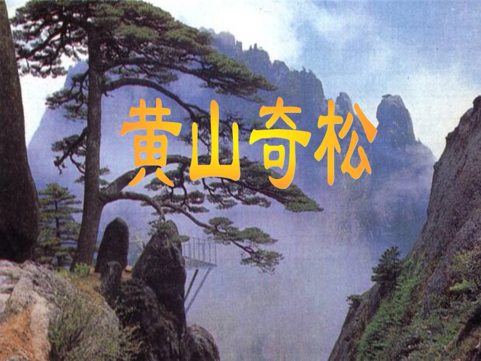 《黄山奇松》ppt课件3_第1页