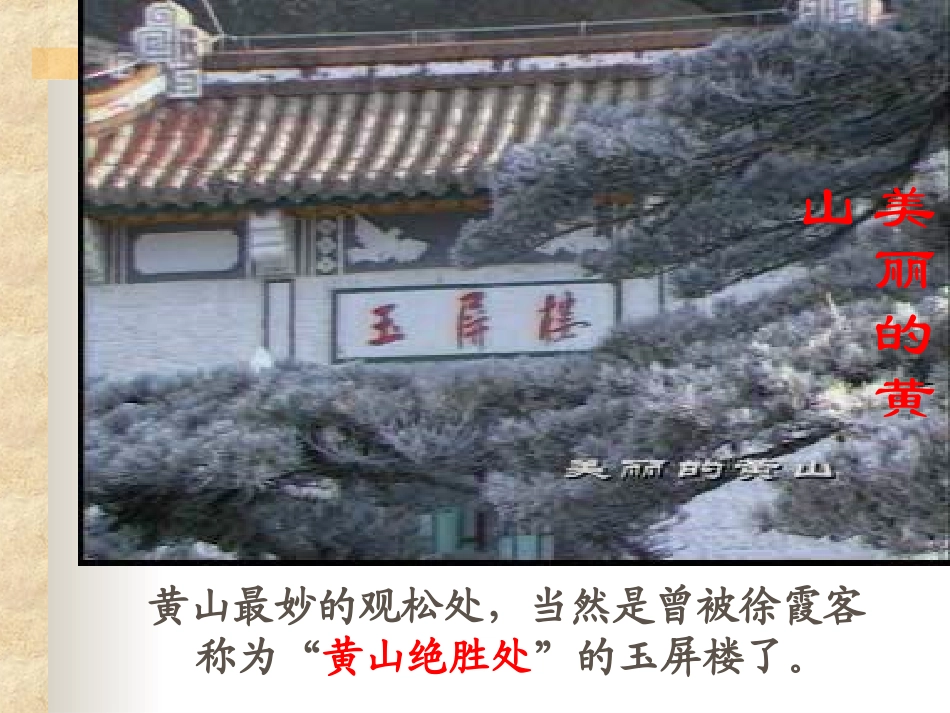 《黄山奇松》ppt课件3_第2页