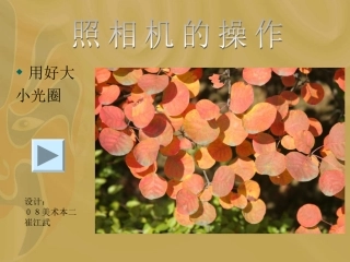 第四课光圈焦距景深快门的不同作用--照相机的操作-(2)