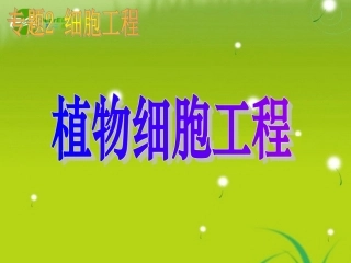 高中生物-2.1植物细胞工程课件-新人教版选修3