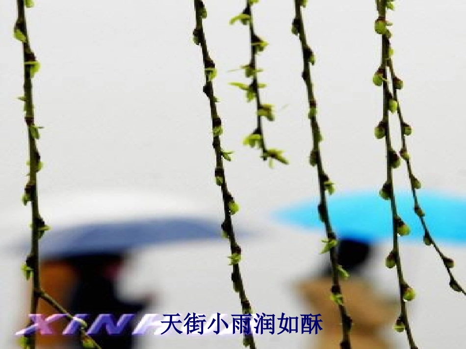 九年级语文上册-综合性学习《雨的诉说》教学课件-鲁教版_第3页