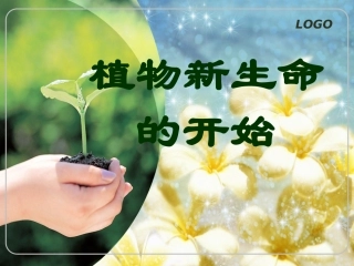 植物新生命的开始