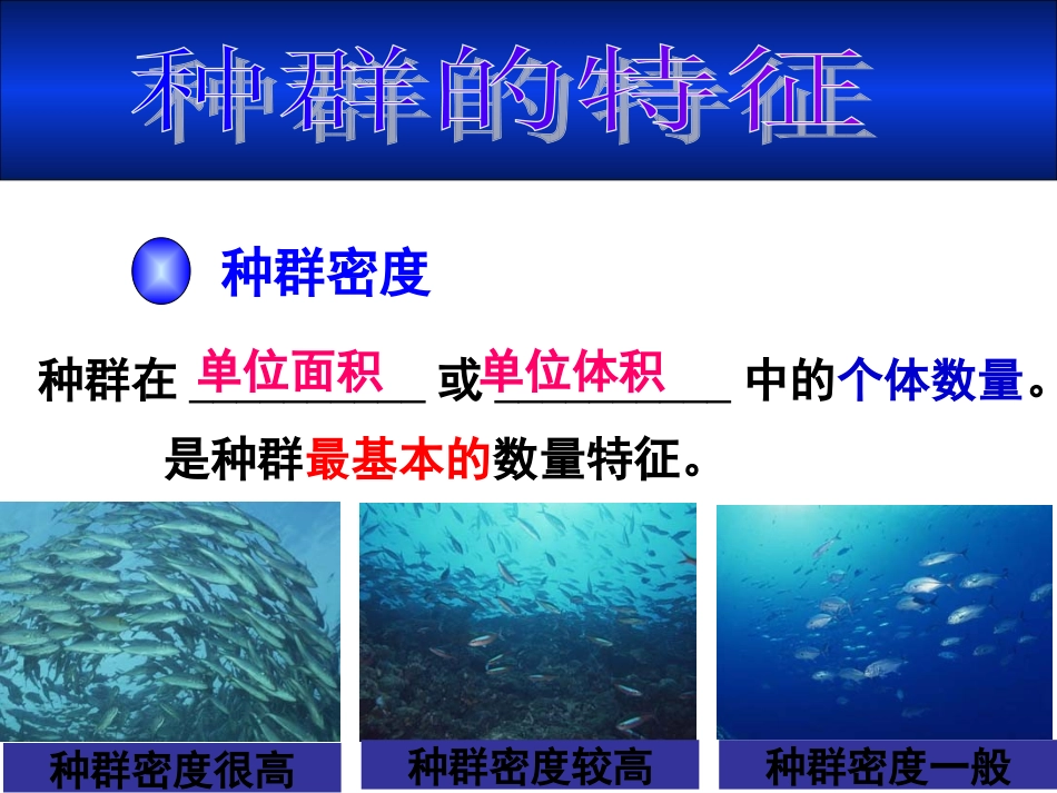 第一节种群的特征_第3页