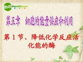 高中生物：-51-降低化学反应活化能的酶(课件)人教版必修1