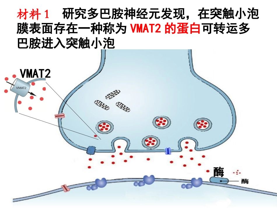 科学·技术·社会-拒绝毒品-慎用心理药物-(4)_第2页