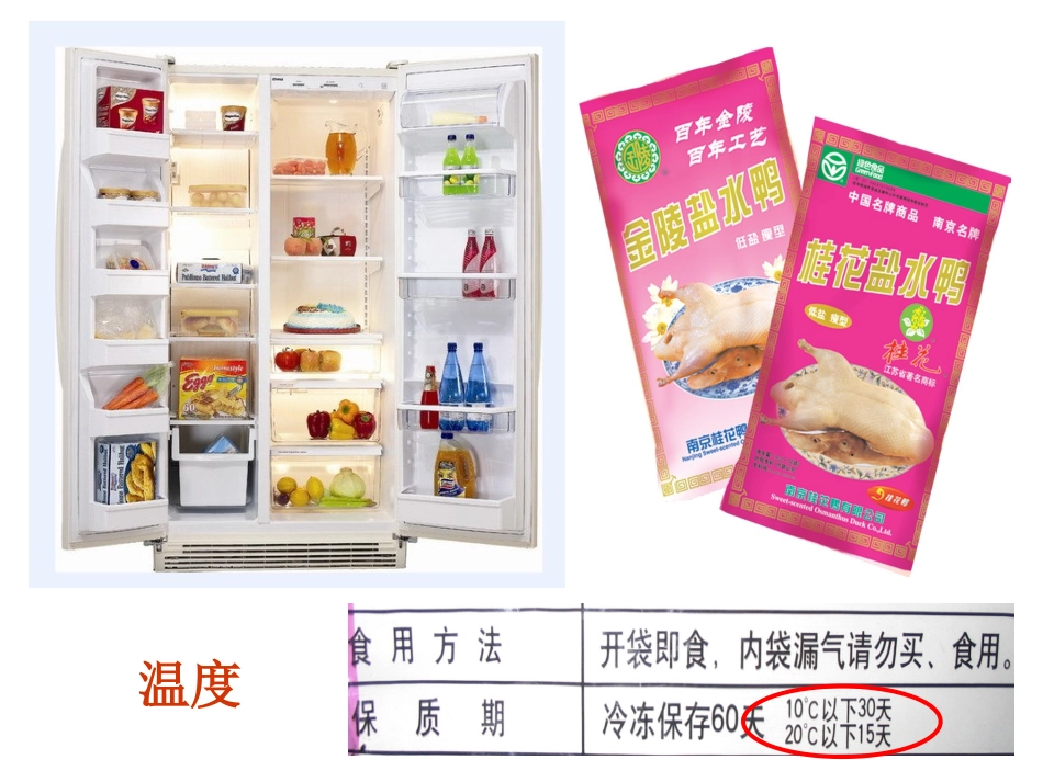 第二章第二节影响化学反应速率的因素课件_第3页