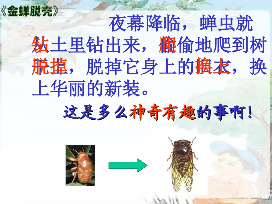 《金蝉脱壳》课件_第3页