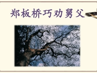 《郑板桥巧劝舅父》课件2