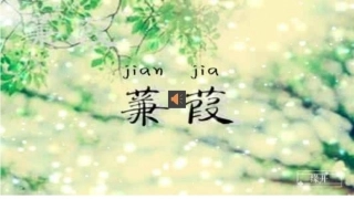 蒹葭演示文稿