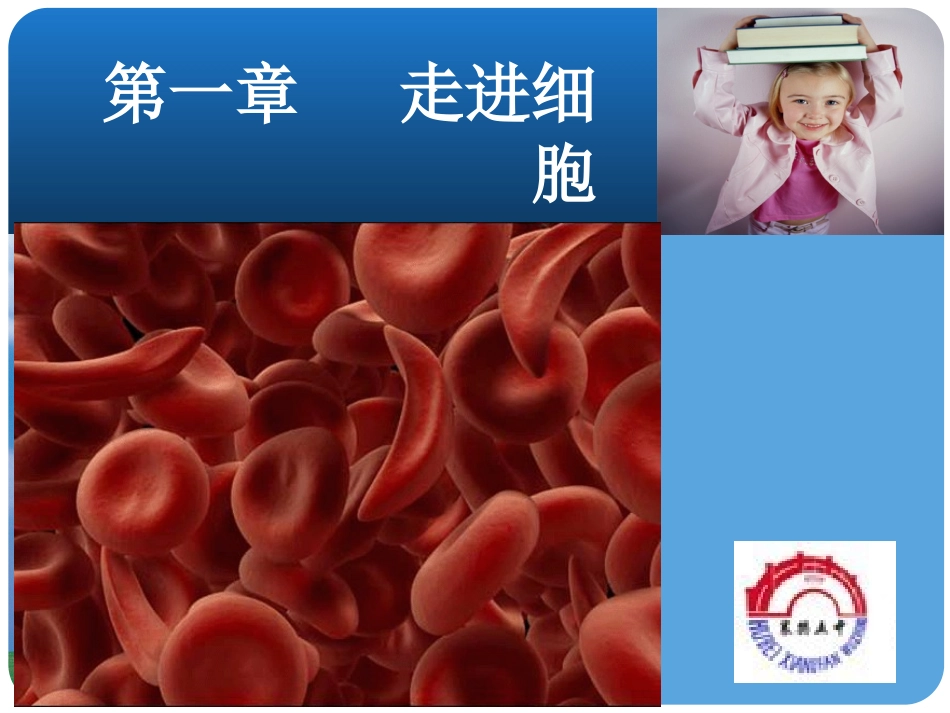 必修11.1从生物圈到细胞_第1页