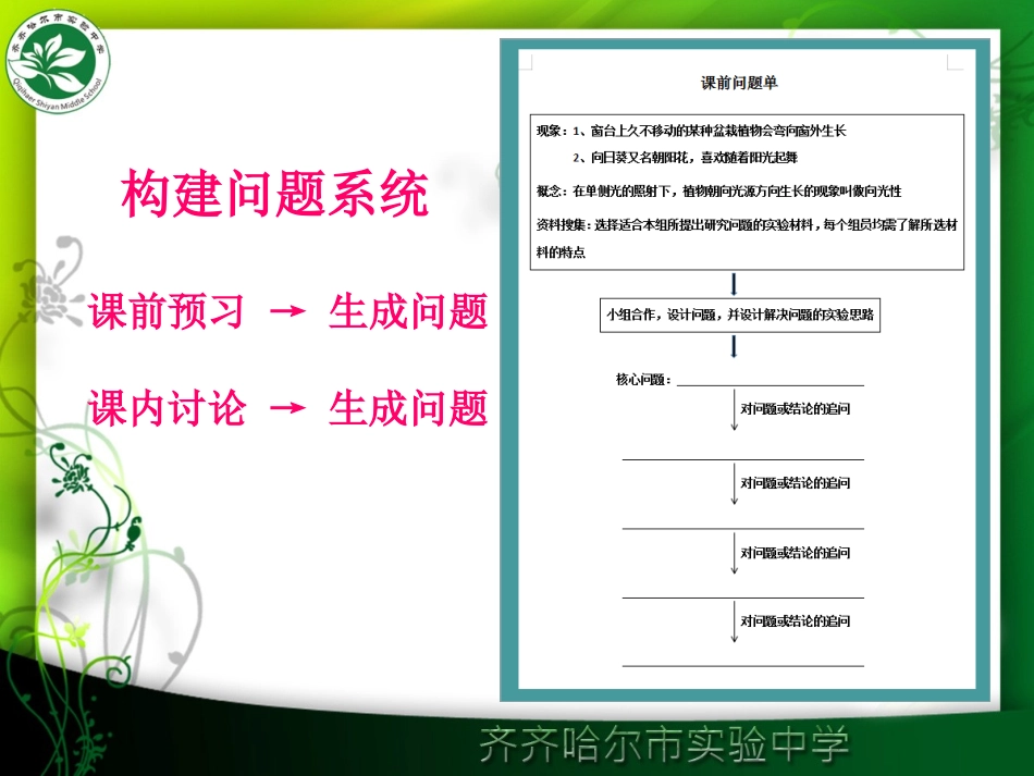 第一节植物激素调节-(4)_第3页