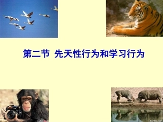 5.2.2先天性行为和学习行为