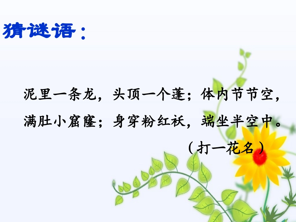 (部编)初中语文人教2011课标版七年级下册《爱莲说》-(14)_第2页