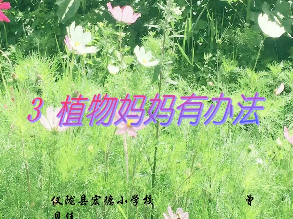 3-植物妈妈有办法_第1页