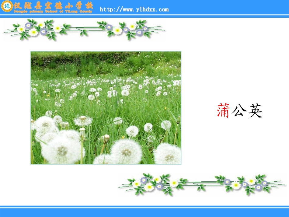 3-植物妈妈有办法_第2页