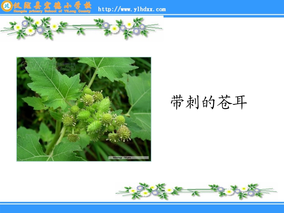 3-植物妈妈有办法_第3页