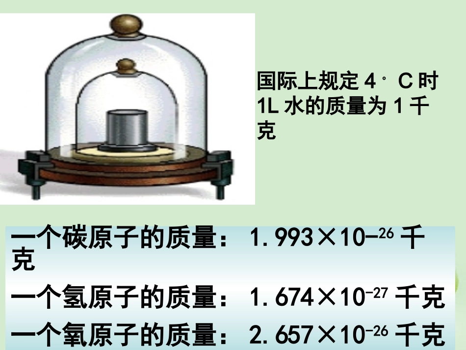 浙江省台州温岭市松门镇育英中学九年级科学上册《相对质量》课件_第2页