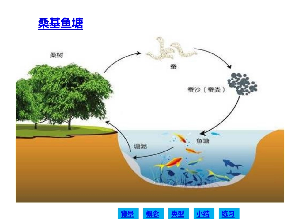 第一节生态工程的主要类型_第2页