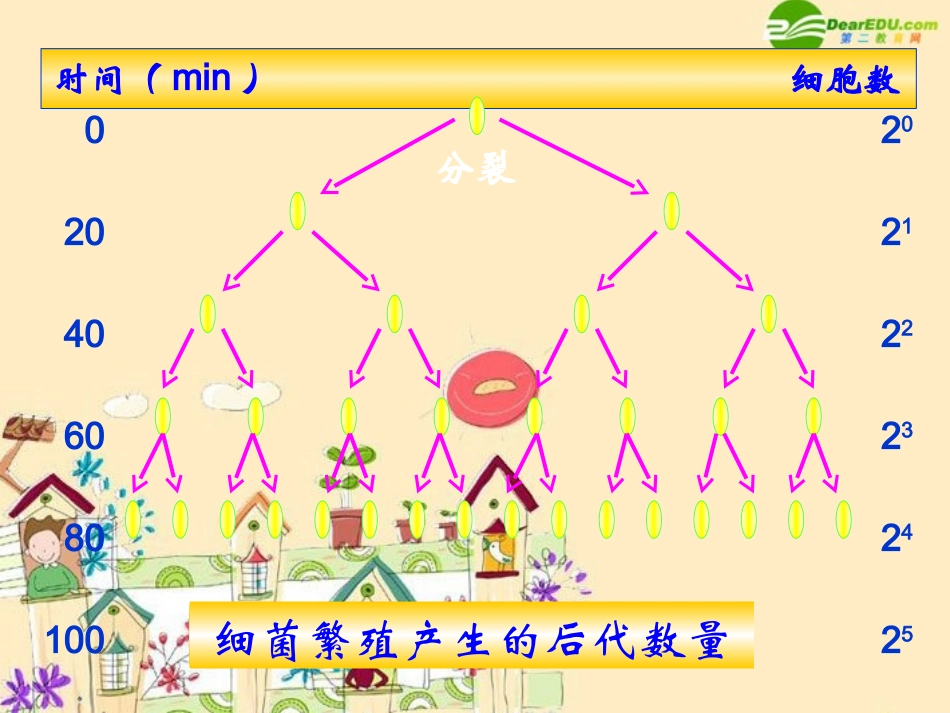 高中生物-31《生物群落的基本单位——种群》课件-苏教版必修3_第3页