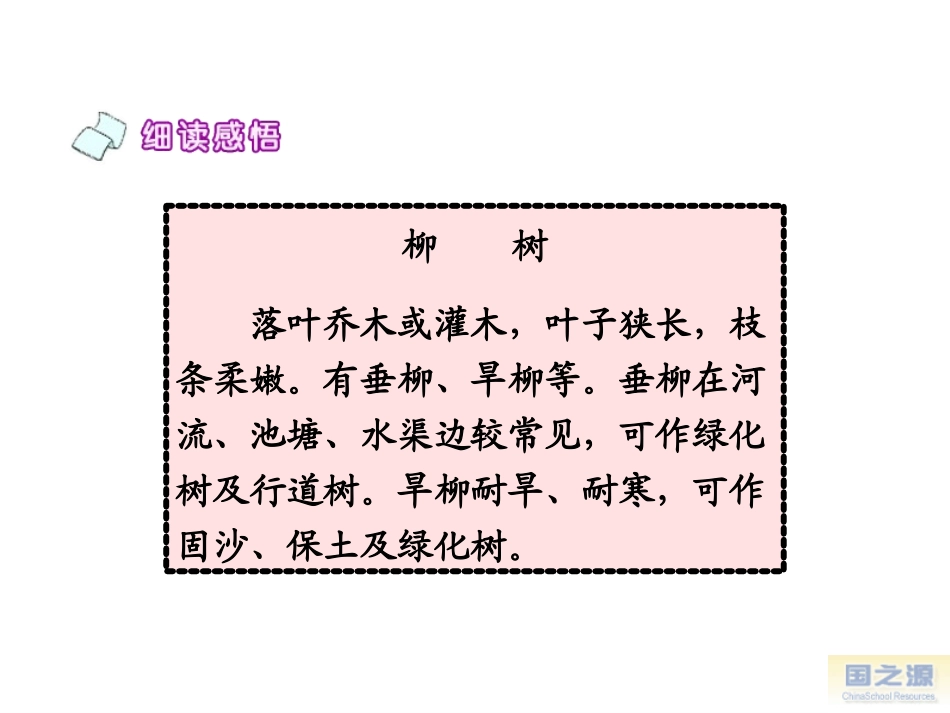 小柳树和小枣树--自己做的_第3页