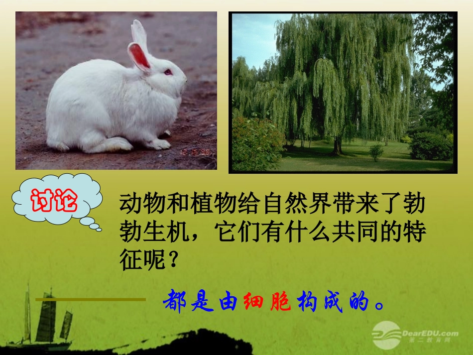 七年级科学上册《细胞》课件7-浙教版_第3页
