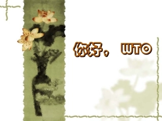 《你好-WTO》课件2