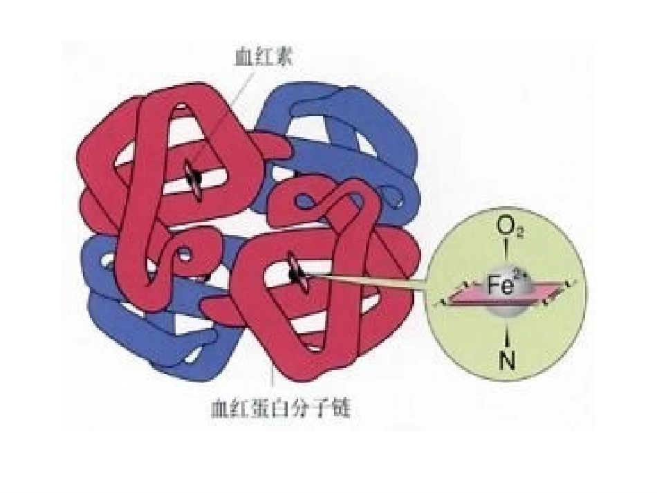铁盐和亚铁盐-(3)_第2页