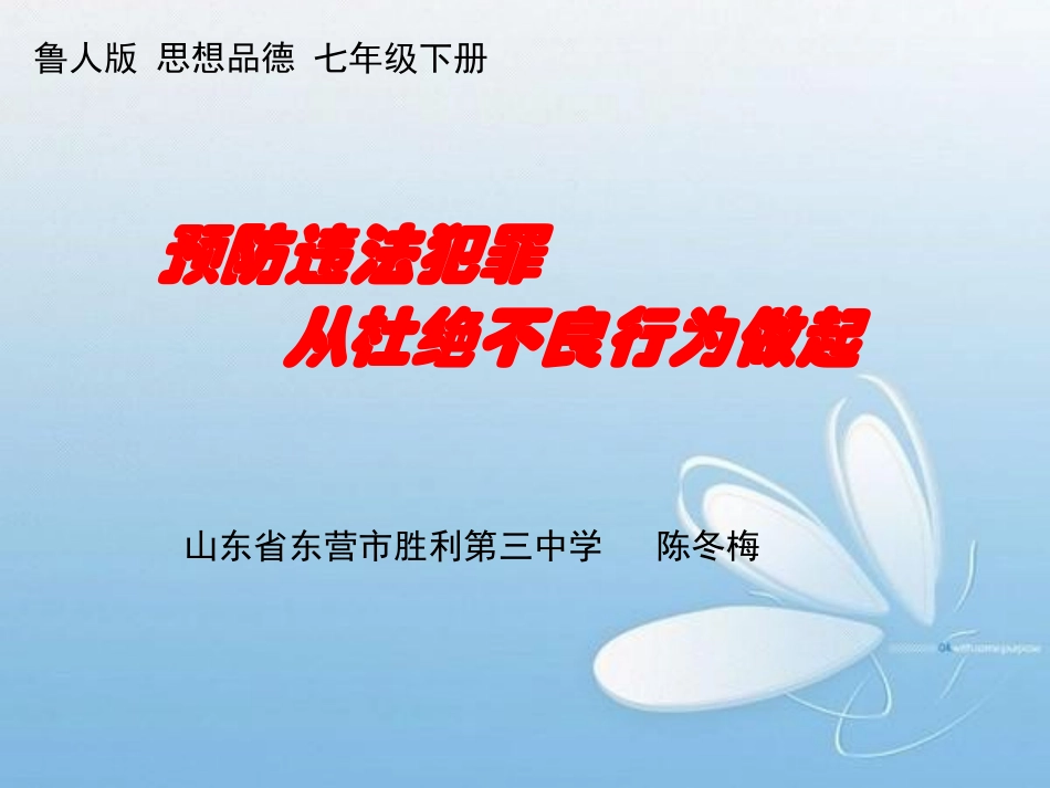 预防违法犯罪从杜绝不良行为做起_第1页