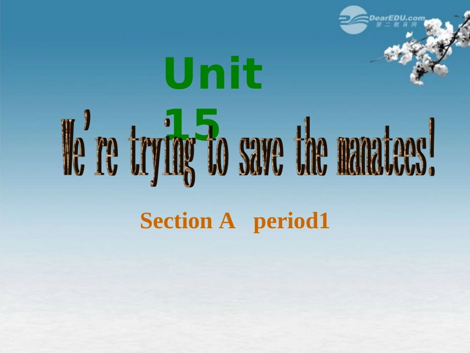 浙江省台州市黄岩区头陀镇中学九年级英语-Unit-15-We’re-trying-to-save-the-manatees-Period-1课件-人教_第1页