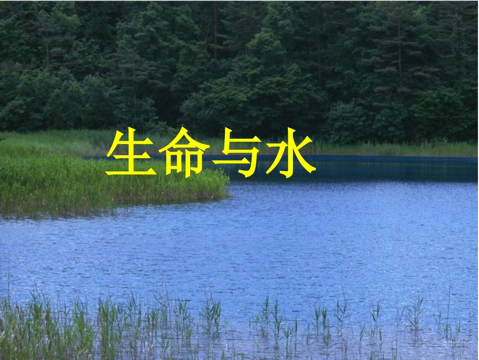 北师大版五年级语文上册《水就是生命》课件_第1页
