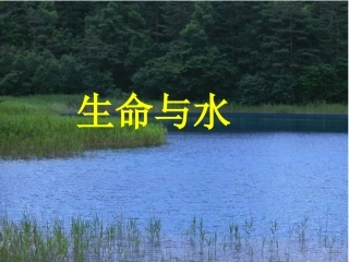 北师大版五年级语文上册《水就是生命》课件