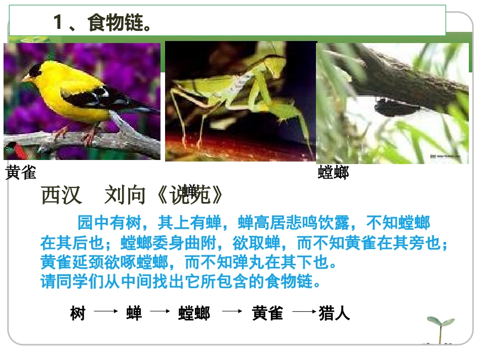 二、什么是系统_第3页