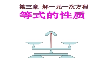 等式的性质(1)