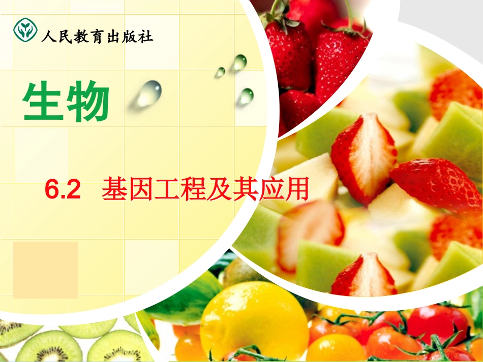 科技探索之路-基础理论和技术的发展催生了基因工程-(4)_第1页