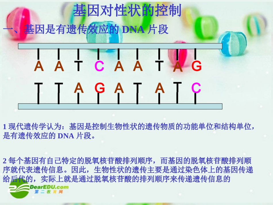 高中生物-基因的表达课件-中图版必修2_第2页