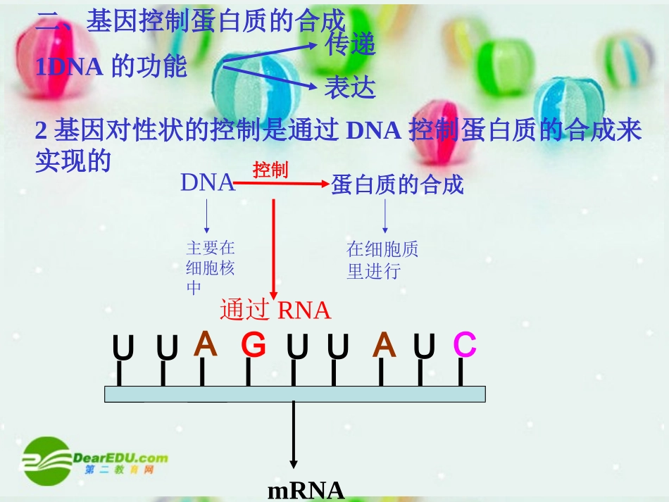 高中生物-基因的表达课件-中图版必修2_第3页