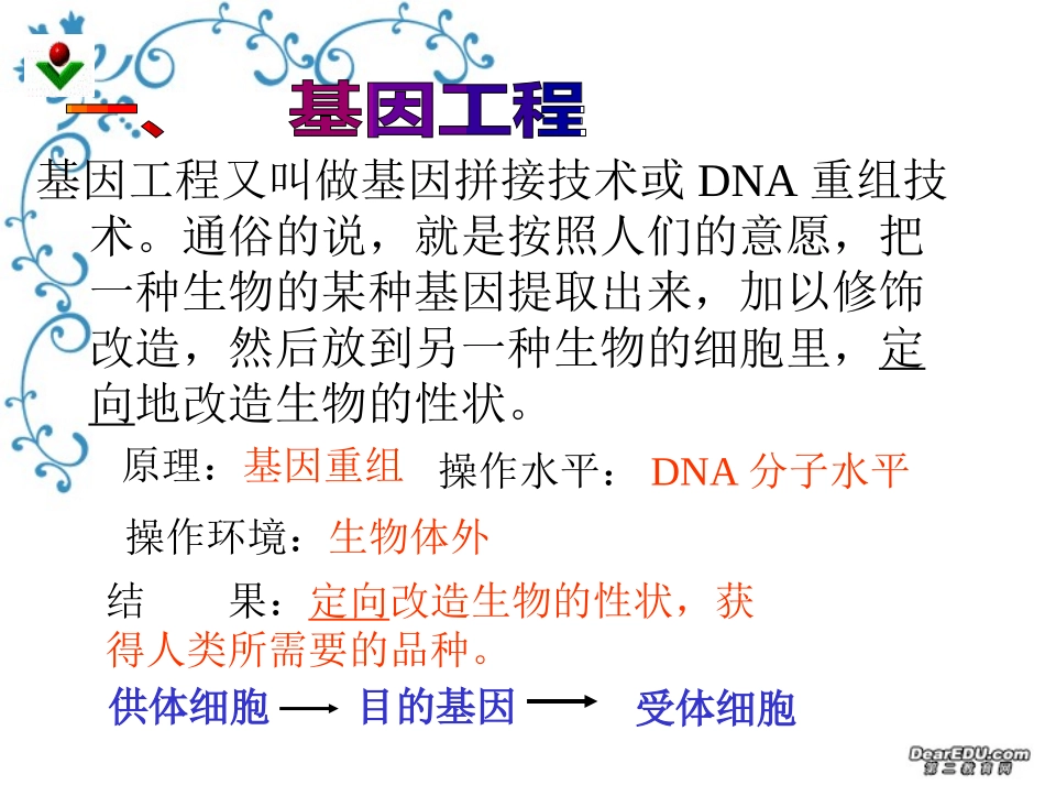 高中生物-基因工程及其应用课件2-人教版必修2_第2页
