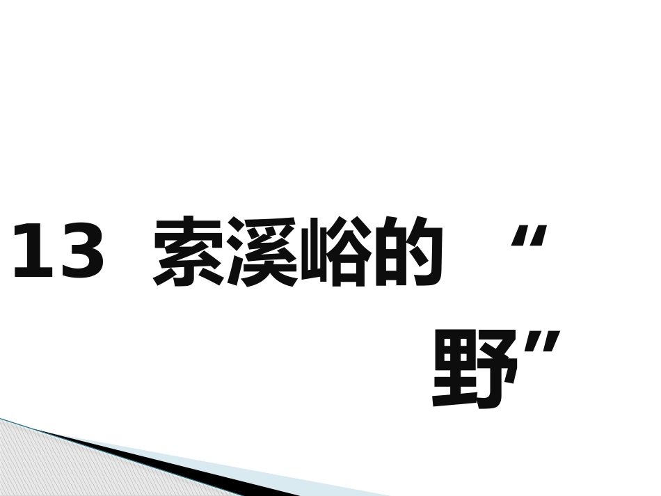 《索溪峪的野》课件_第2页