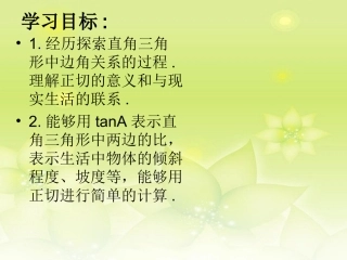 新疆石河子市第十中学九年级数学《直角三角形边角关系》课件-新人教版