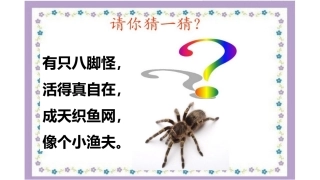 好忙好忙的蜘蛛